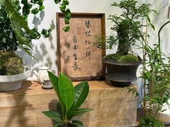-自由生长植物工作室(深港花卉中心店)