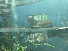 -青藏高原野生动物园