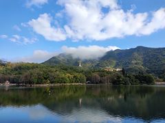 -深圳仙湖植物园