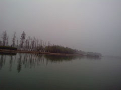 -苏州太湖国家湿地公园