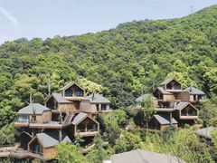 -杭州开元森泊度假乐园