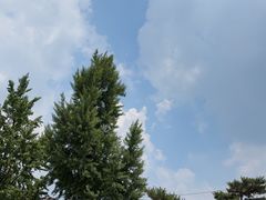 -景福宫