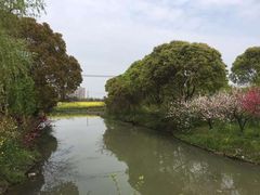 -南汇桃花村