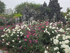 -人民公园(罗湖区)