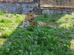 -大连森林动物园