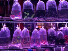 -华声天桥民俗文化园