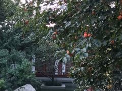 -西安华清御汤酒店