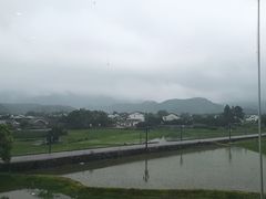 -黄牛肉馆·皖南土菜