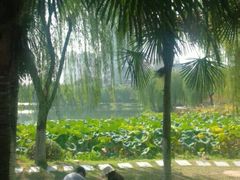-后襄河公园