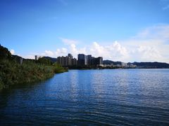 -几荷·恰似故人来(秀水广场店)