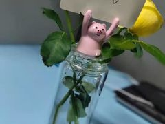 -小蕊cake私人订制蛋糕