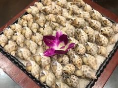 -津菜宋记老房子(鼓楼店)
