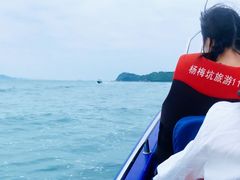 -杨梅坑