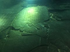 -白鹤梁水下博物馆