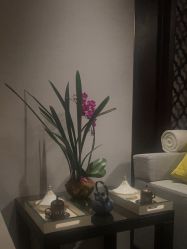 -文华东方水疗中心