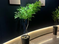 -水悦堂足浴SPA养生会所