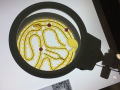 -上海昆虫博物馆