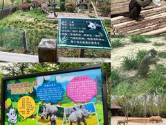 -济南野生动物世界