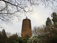 -玲珑塔公园