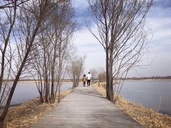 -野鸭湖国家湿地公园