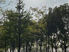 -上海山野camping·户外天幕烧烤·团建拓展营地