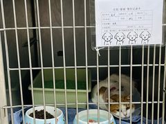 -宠福鑫动物医院·动物疾病诊疗中心(天通苑店)