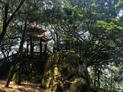 -宋井风景区