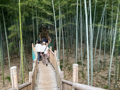 -陶祖圣境风景区