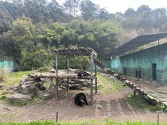 -宁波野生动物园