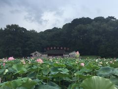 -古田会议纪念馆