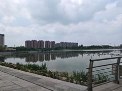 -映月湖中央公园