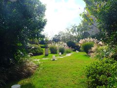 -上海崇明金茂凯悦酒店