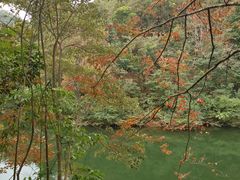 -广州市石门国家森林公园