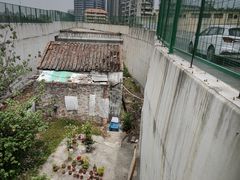 -洲头咀公园
