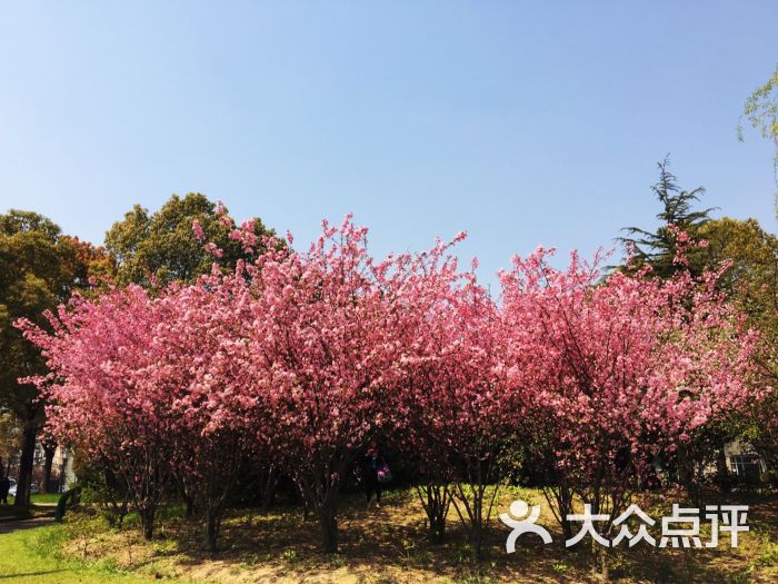 名人苑-图片-上海周边游-大众点评网