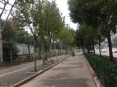 -武钢体育中心恒温游泳馆