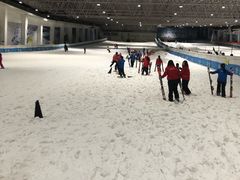 -绍兴启迪乔波冰雪世界