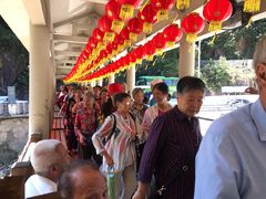 -九龙江国家森林公园