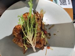 -靓蛙馆