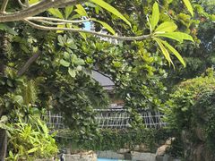 -亚马逊丛林水乐园