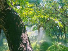 -Chom Cafe and Restaurant