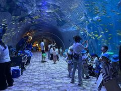 -华夏文旅海洋公园