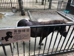 -蓝可可亲子乐园(北苑店)