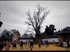 -金堂县云顶石城风景区