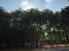 -海德公园