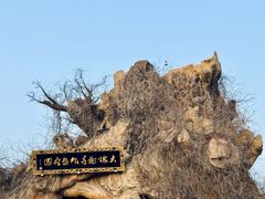 -大槐树寻根祭祖园