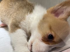 -乐宠宠物店(世纪金源店)