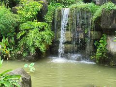 -广州神农草堂中医药博物馆