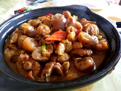 猪尾板栗-江东鲈鱼馆(正江东)