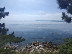 -养马岛旅游度假区